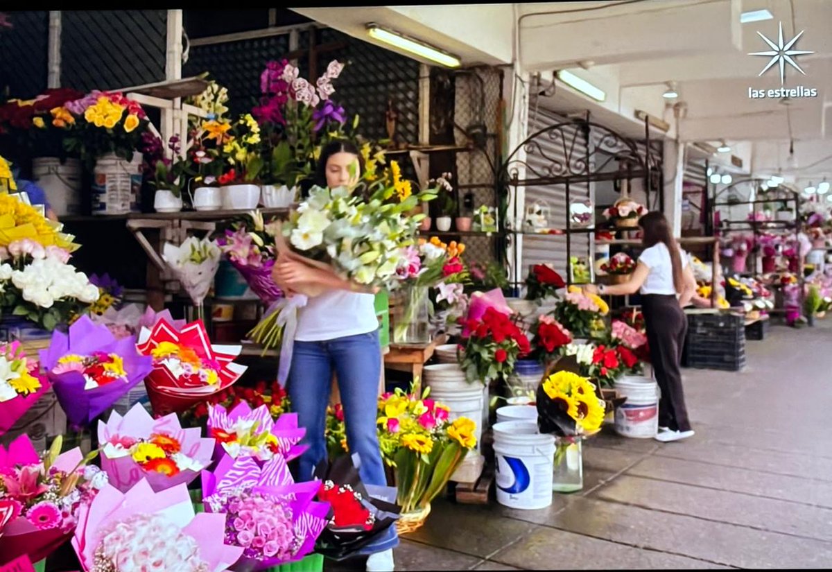 Ricardoayala5's tweet image. Hermosa locación nos regaló #LosHilosDelPasado. El emblemático  &apos;Mercado de las Flores&apos; de San Ángel 💐 // (ra)