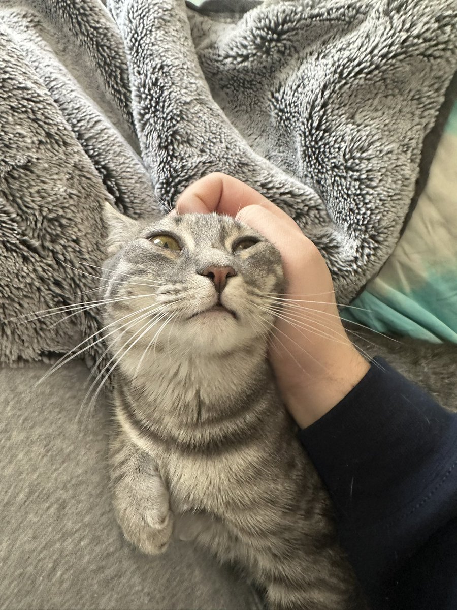 KML | Kyle Lynch tweet media