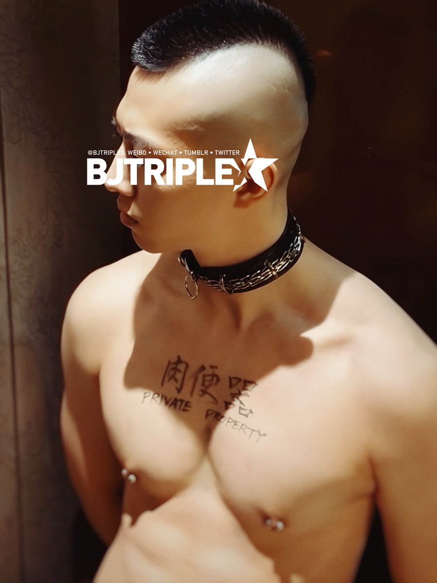 bjtriplex tweet media