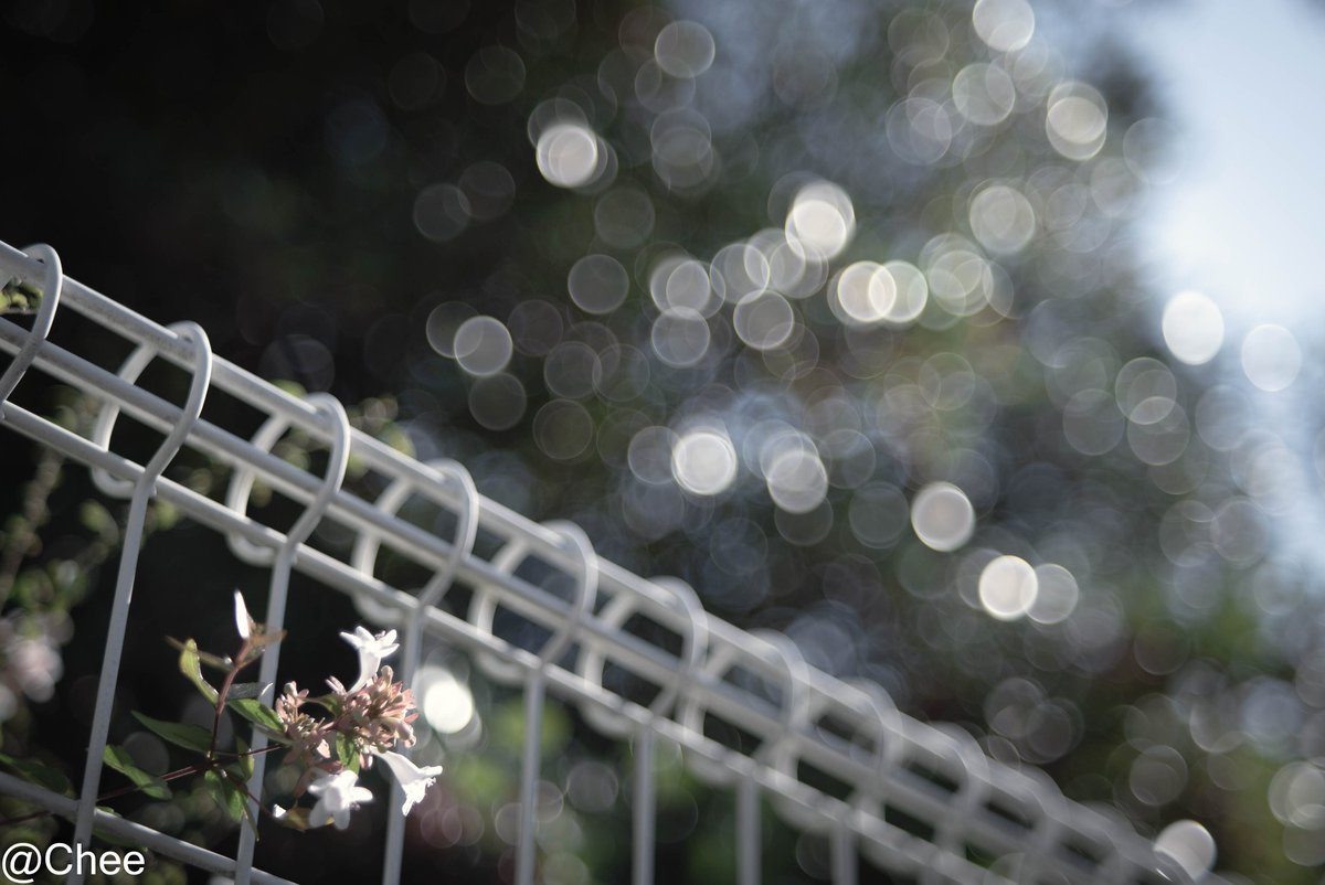 リピーター☘️かめちゃん様30:30 リピーター☘️かめちゃん様30:30 リピーター☘️かめちゃん様30