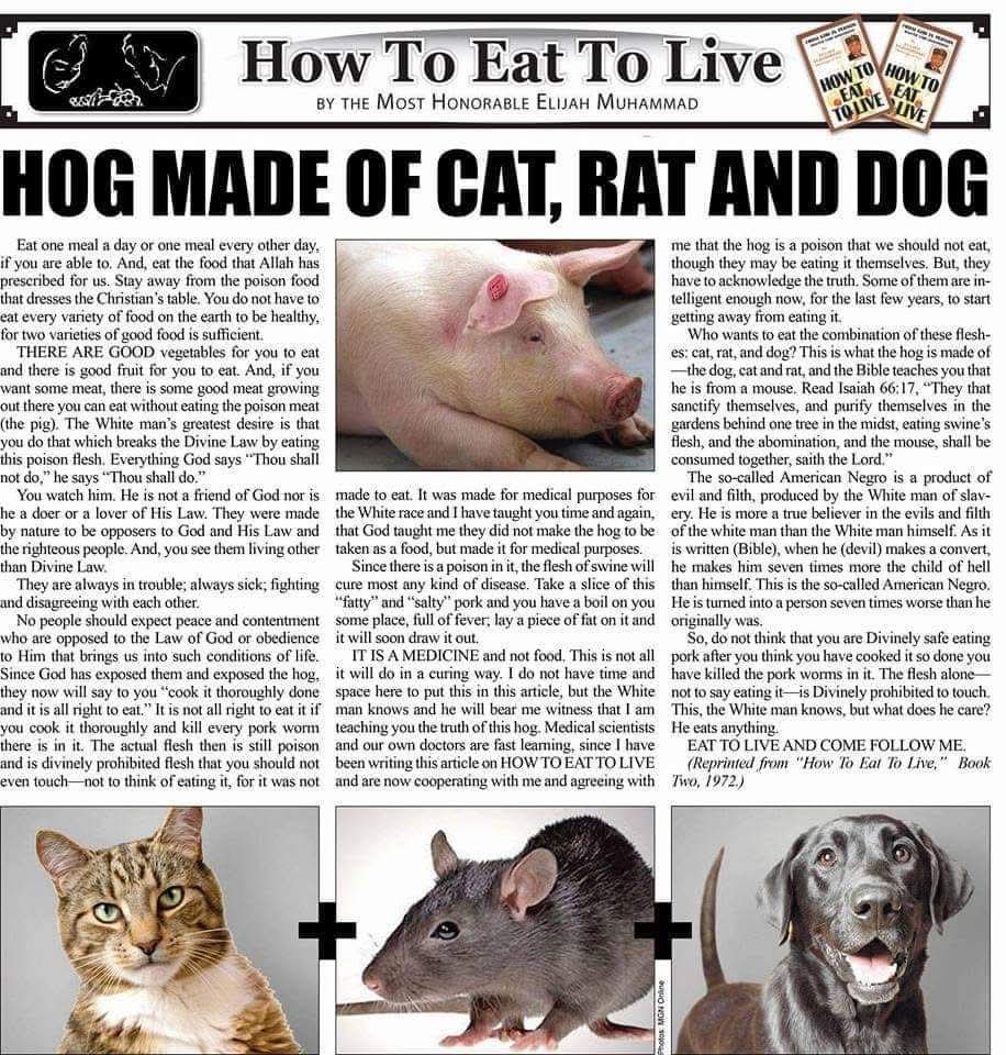 whatstodaysmath's tweet image. We don't Dine with the Swine. #HowToEatToLive
#Pork #Swine #Hog is made of #Cat + #Rat and #Dog.
