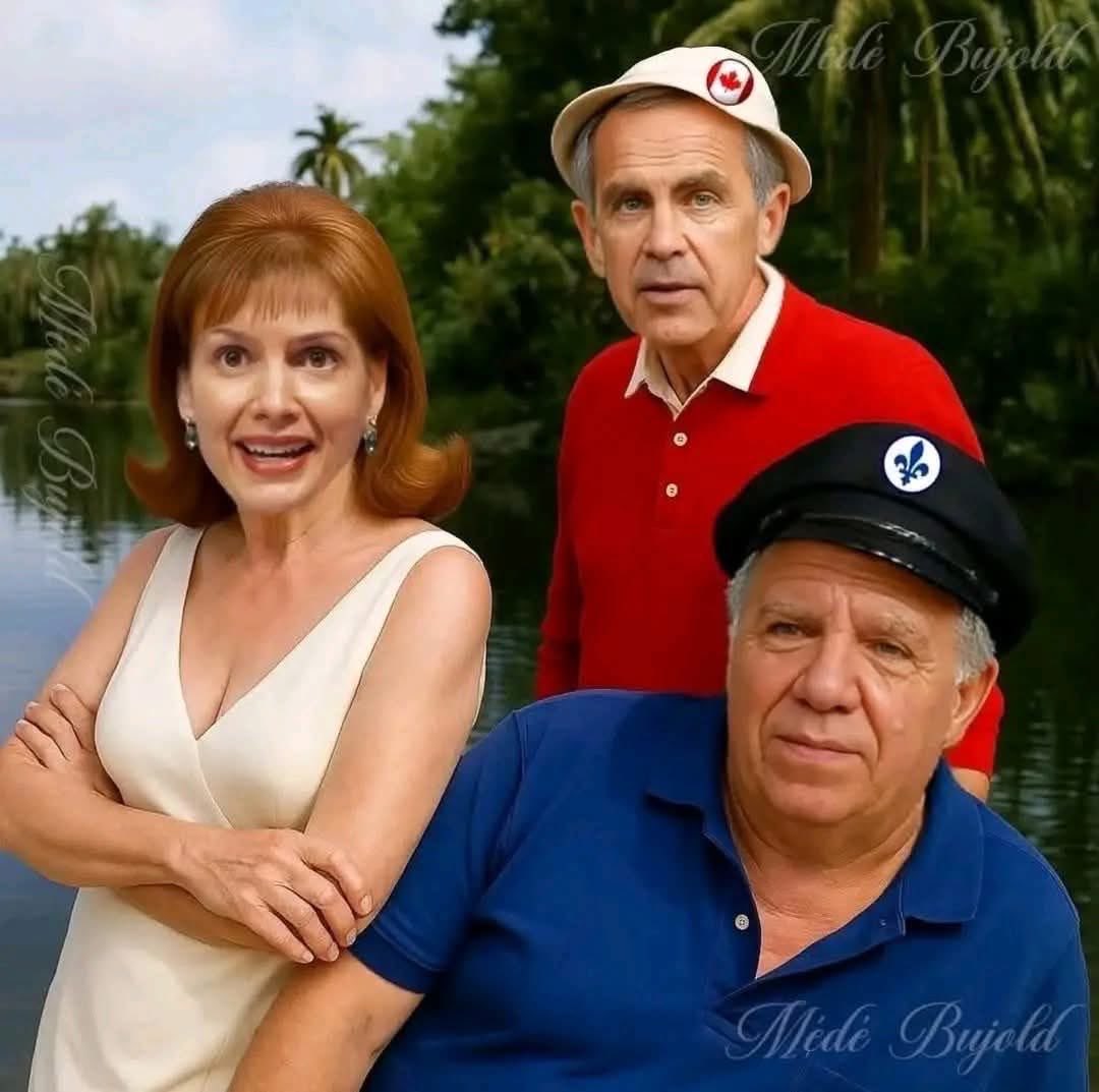 LefrancoisLou2's tweet image. 😂🤣🤣🤣