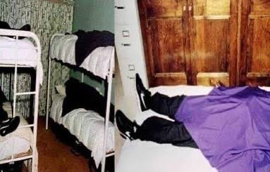 Dylan O'Donnell 🦋 tweet media