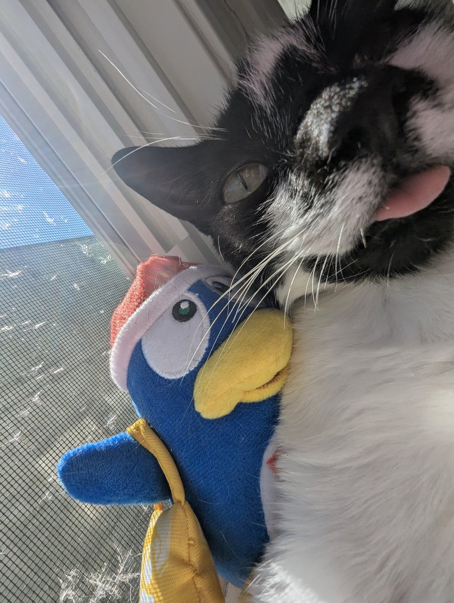 just_cai_'s tweet photo. BLEHHHHHH blehhhhhhh :P i don't car https://t.co/FSsHWx7GQZ