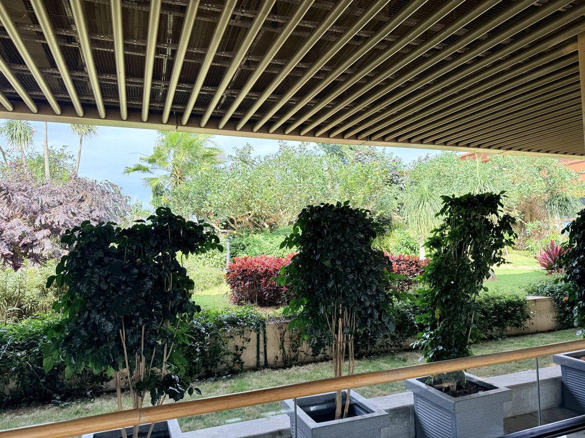 rameshsrivats's tweet image. Every time I use Terminal 2, I think about how much Bangalore has transformed. 
From a garden city with a concrete airport to a concrete city with a garden airport