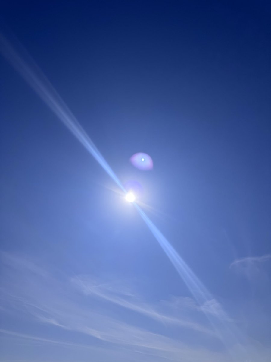 東海ゴジラ on X