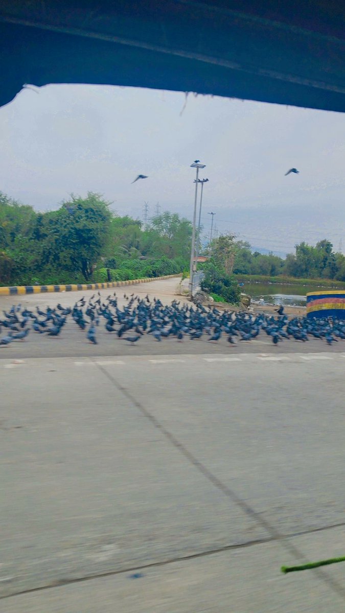 DK_Coder_Girl's tweet image. Rise and shine😼
Rush game🫨🌄🤧