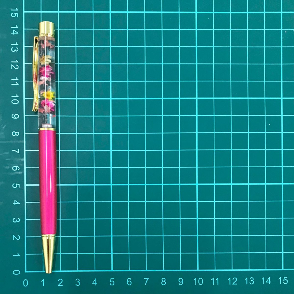 ၄၃うさぎ၄၃ページ✨ Amazon.co.jp: クローズピン Tomoko Hayashi 手帳 2025年 B6