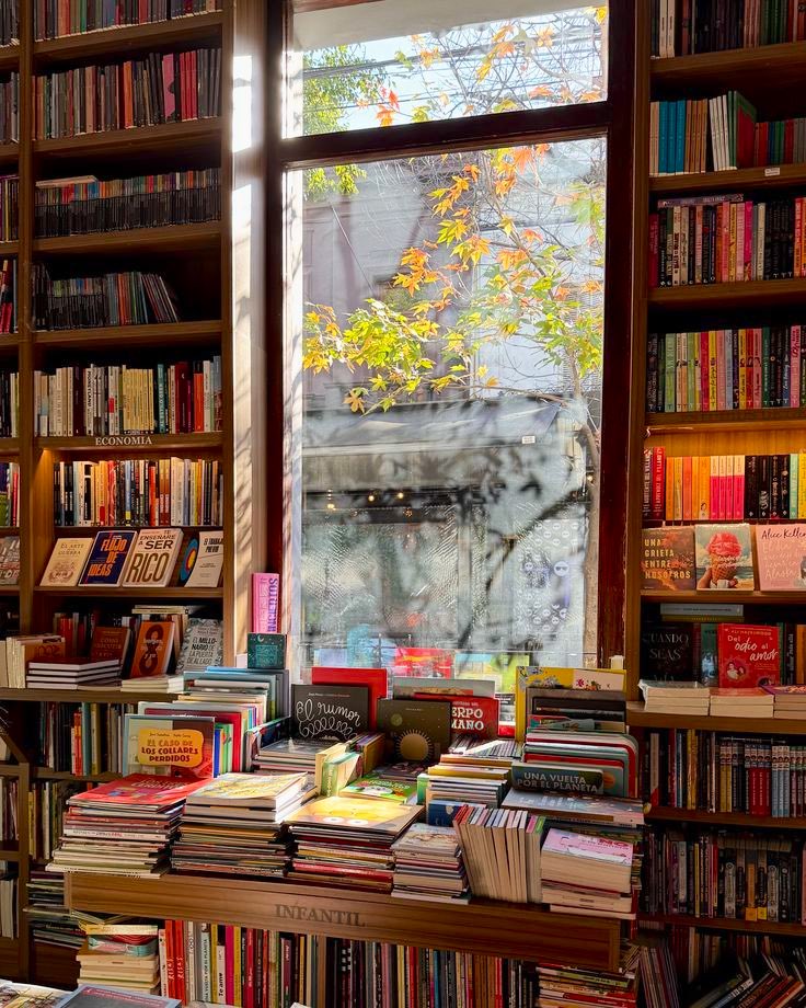 iampaolamedina's tweet photo. «No me preguntes quién me ha influenciado. Un león está hecho de todos los corderos que ha digerido, y yo he estado leyendo toda mi vida».

Jorge Seferis ✍️ https://t.co/qVF0w15IGC