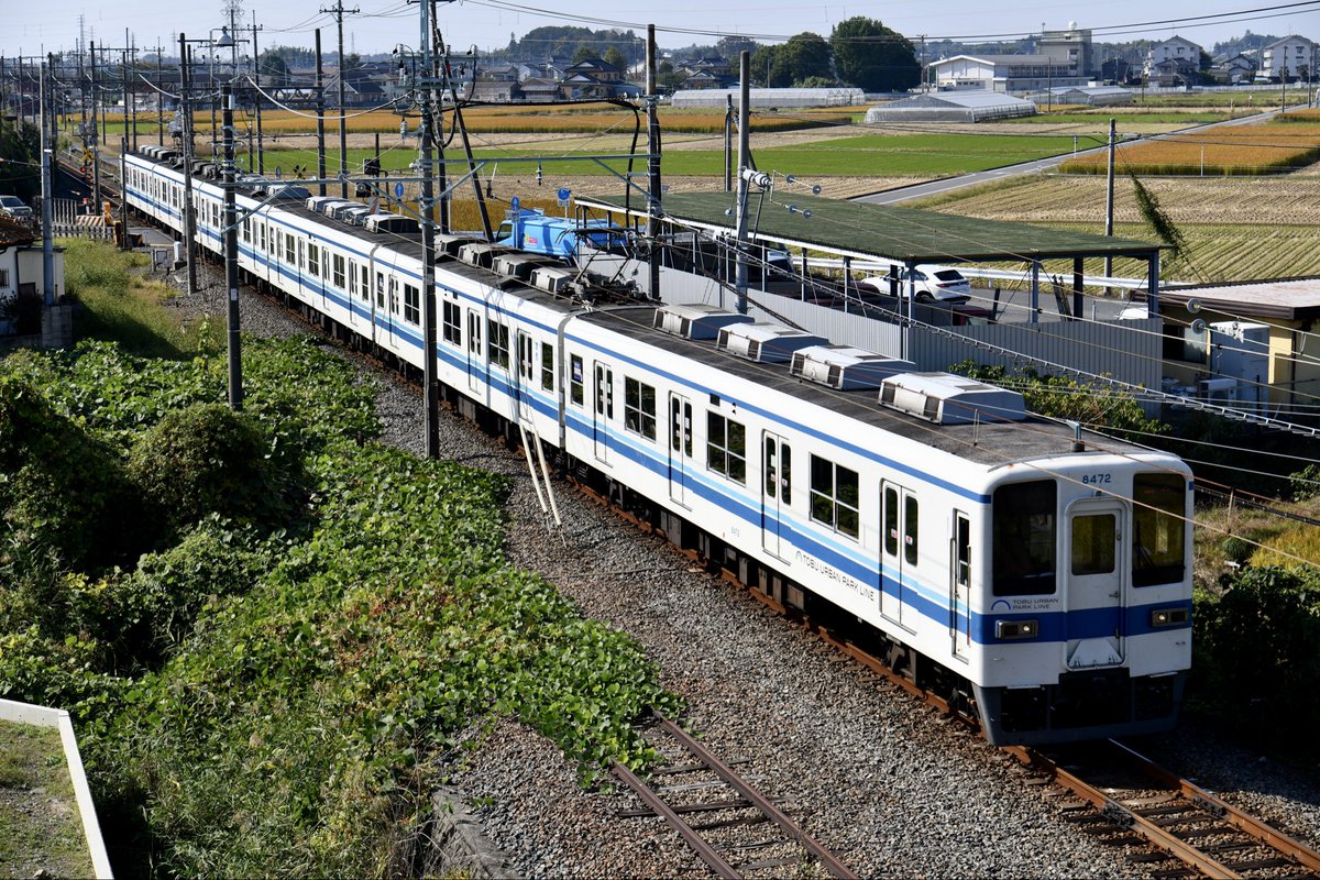 とーちゃん (@SIjy6qdepUXrPB0) / Posts / X