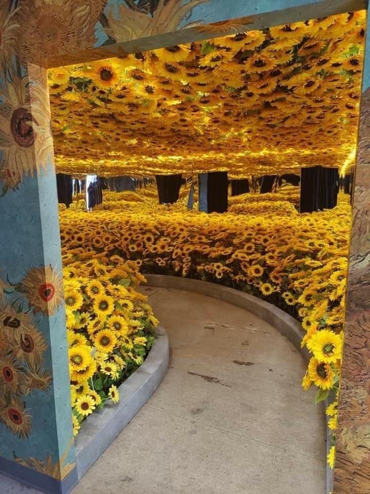 sunflowerchives's tweet photo. Van Gogh Sunflower Exhibition 🌻 https://t.co/PFh7iHIerT