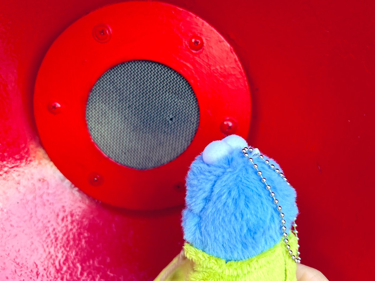 こちらスンスンです！聞こえますか〜❓