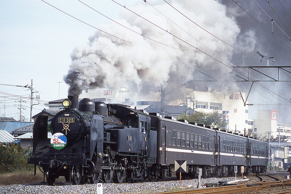 雨小月 キンセキカット日傘 晴雨兼用 黒【AOKI公式通販】