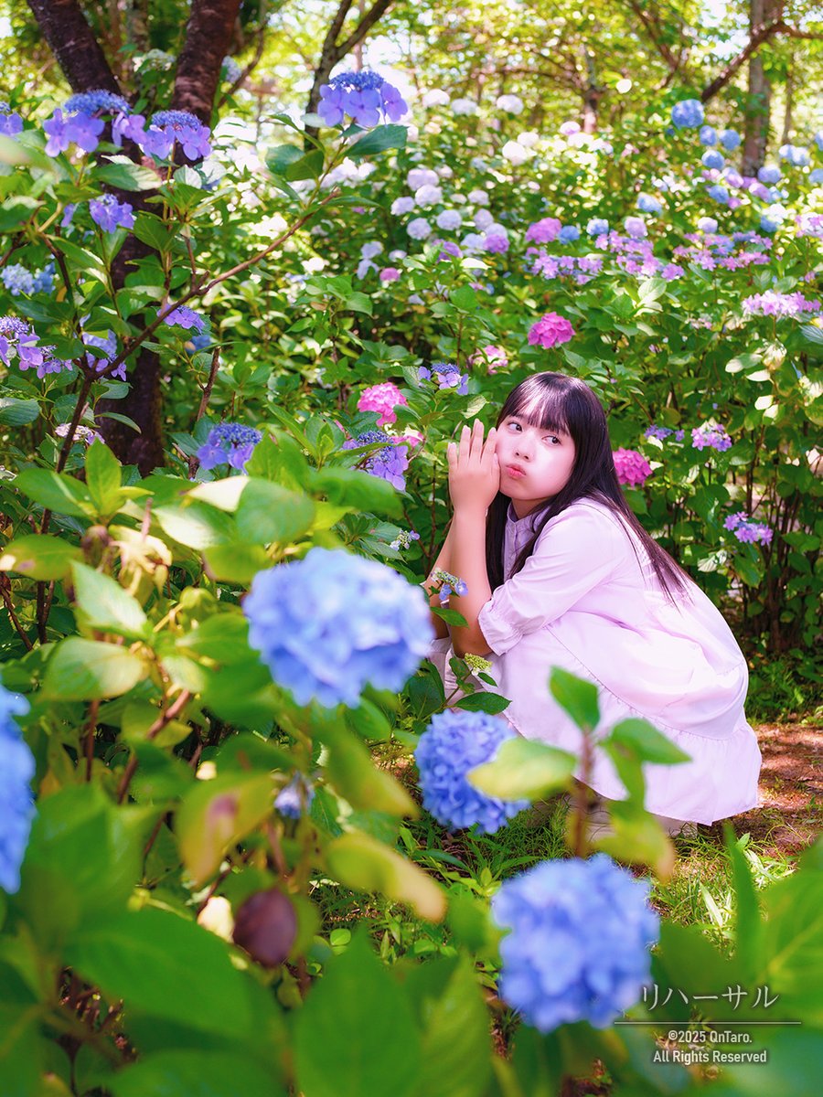 きゅん太郎📸🧸 on X