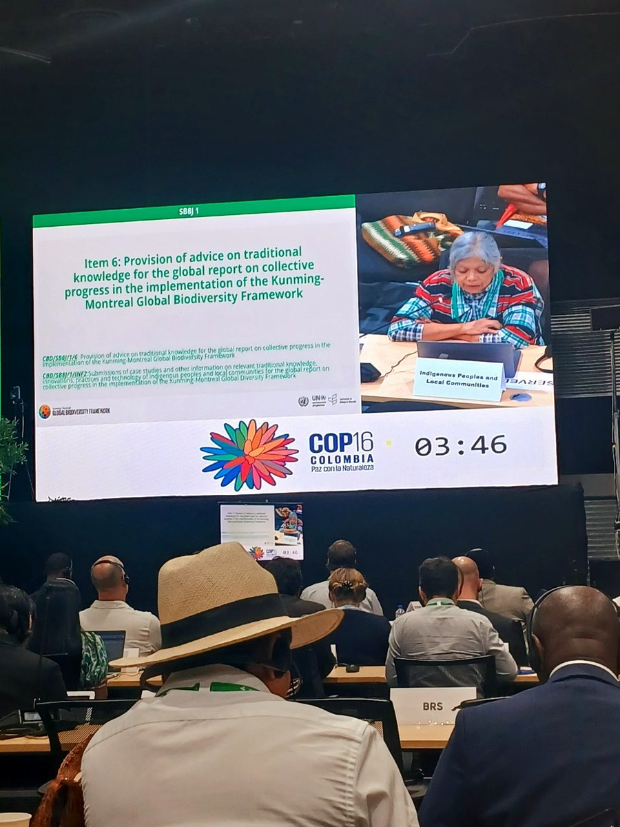 Iwbnglobal's tweet image. Yesterday’s #SB8J_1 side event highlighted the power of Indigenous &amp;amp; local knowledge in advancing national biodiversity goals! 🌿
Grateful to join @UNESCO, Malawi, Namibia, Trinidad &amp;amp; Tobago &amp;amp; @IIFB_. 💚
#Biodiversity #NatureForAll #CBD
