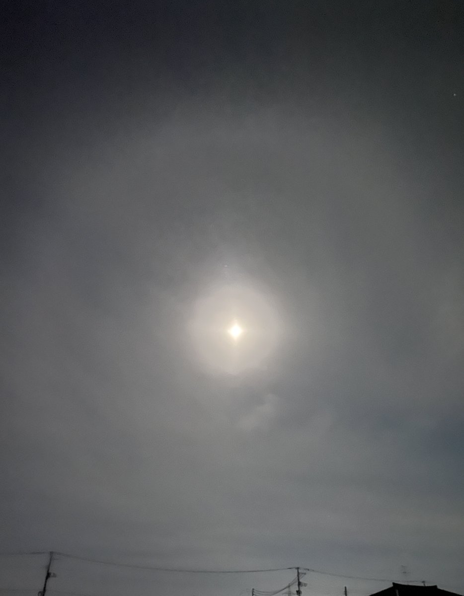 今日は晴天だったので彗星観測にきてみましたが、薄曇り〜。月ハロ観測になりました🌓