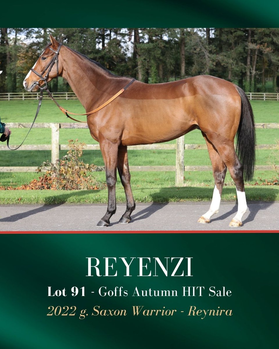 Aga Khan Studs tweet media