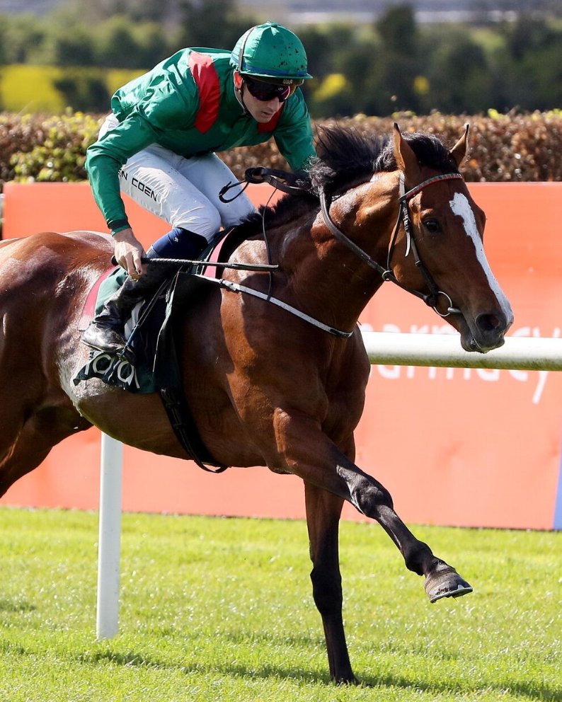 Aga Khan Studs tweet media