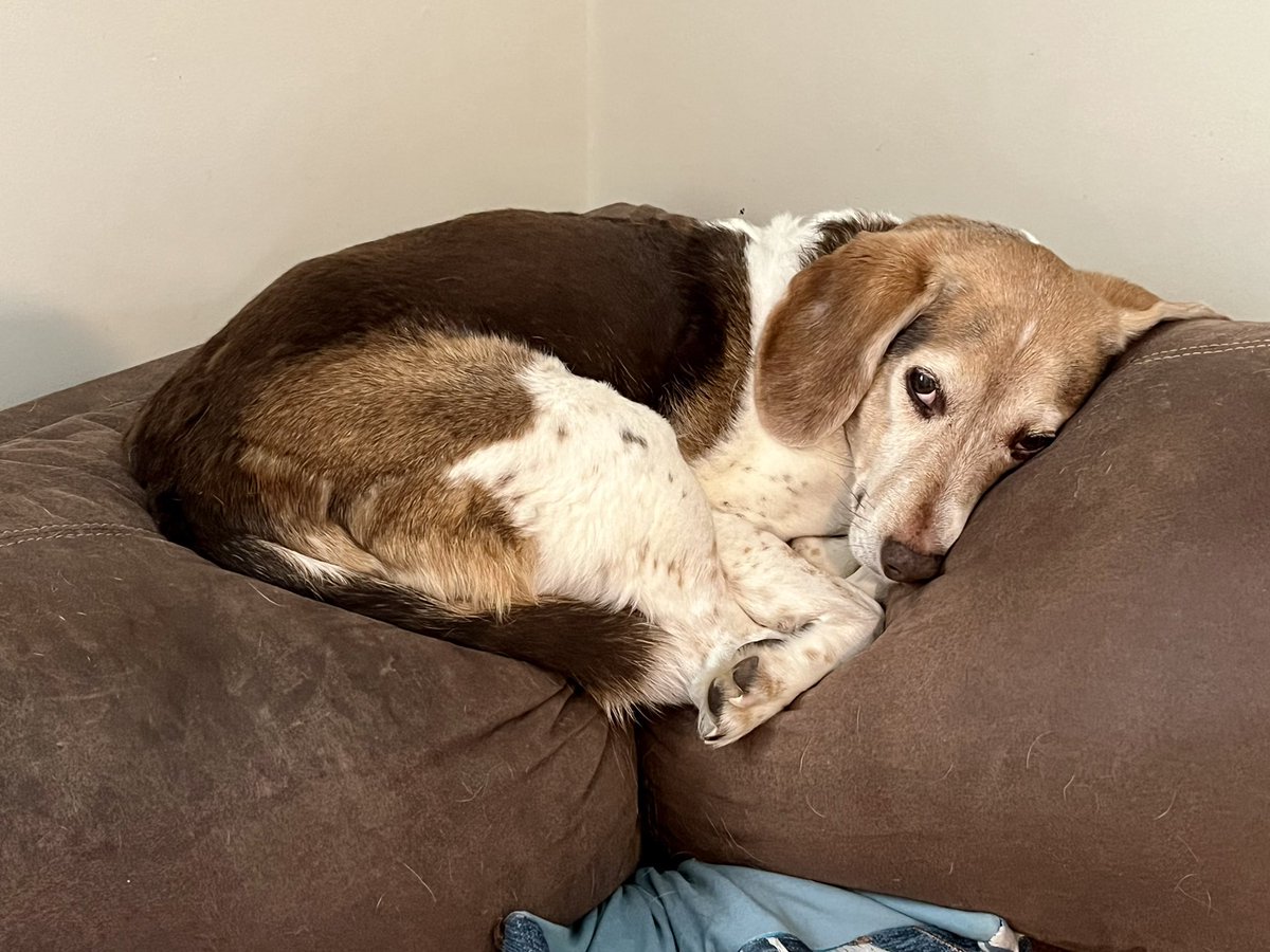 Stan Collins tweet media