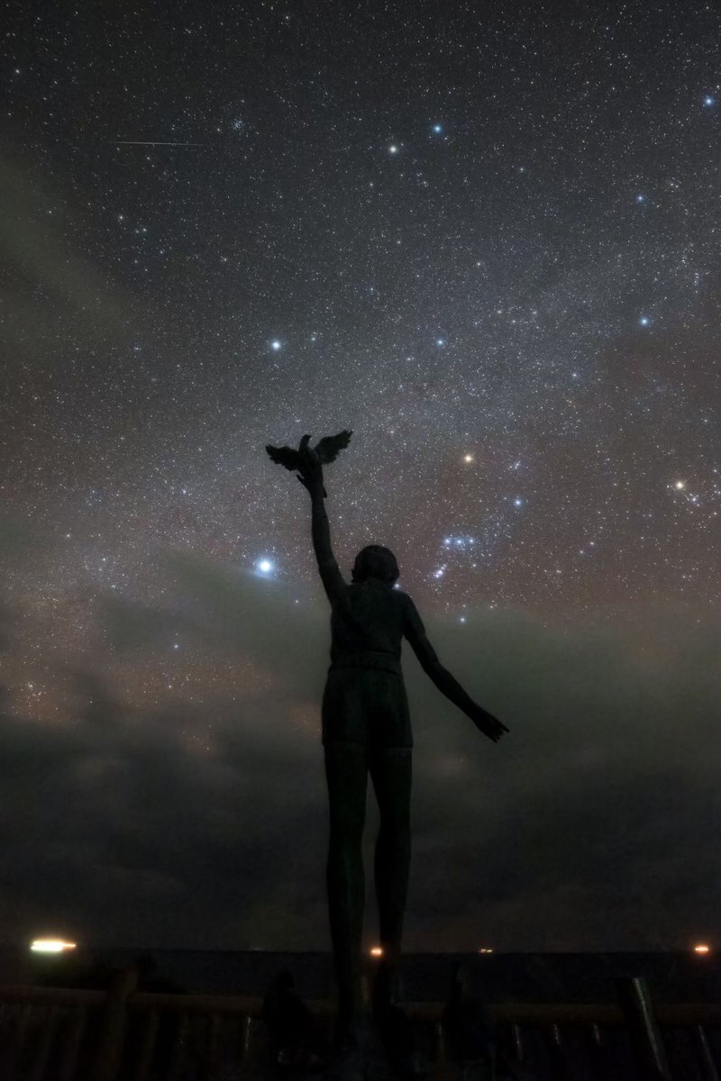 関岡 大晃 | Hiroaki Sekioka (@hirography_321) / Posts / X