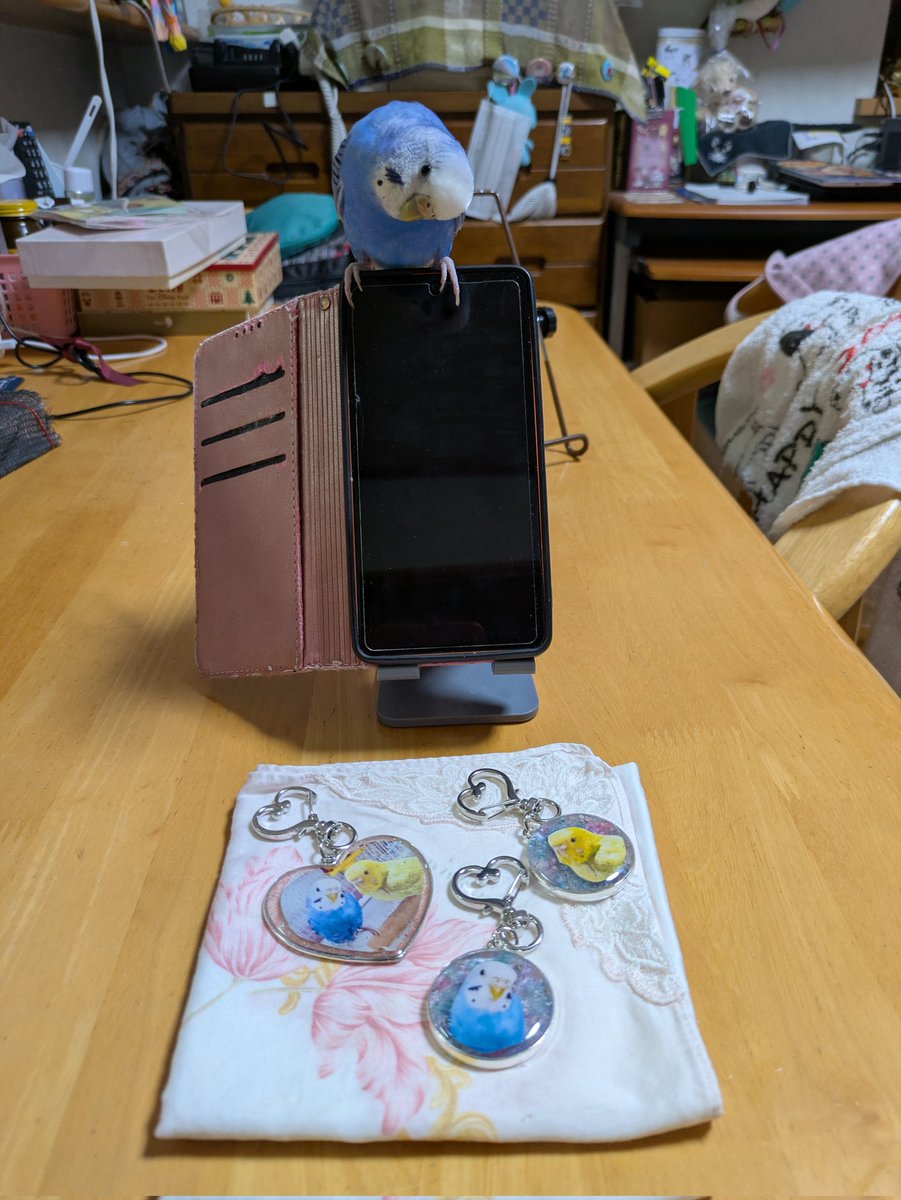こんばんは🌙
レジン作家のkeiさんが🐦ぴーとお友達の🐦ピーちゃんのチャームを作って下さいました。素敵❤️🩵🧡
keiさんのお家にも可愛い🐦セキセイインコのkeiちゃんがいて鳴き声を聴きながら笑顔でレジンを作っておられます。