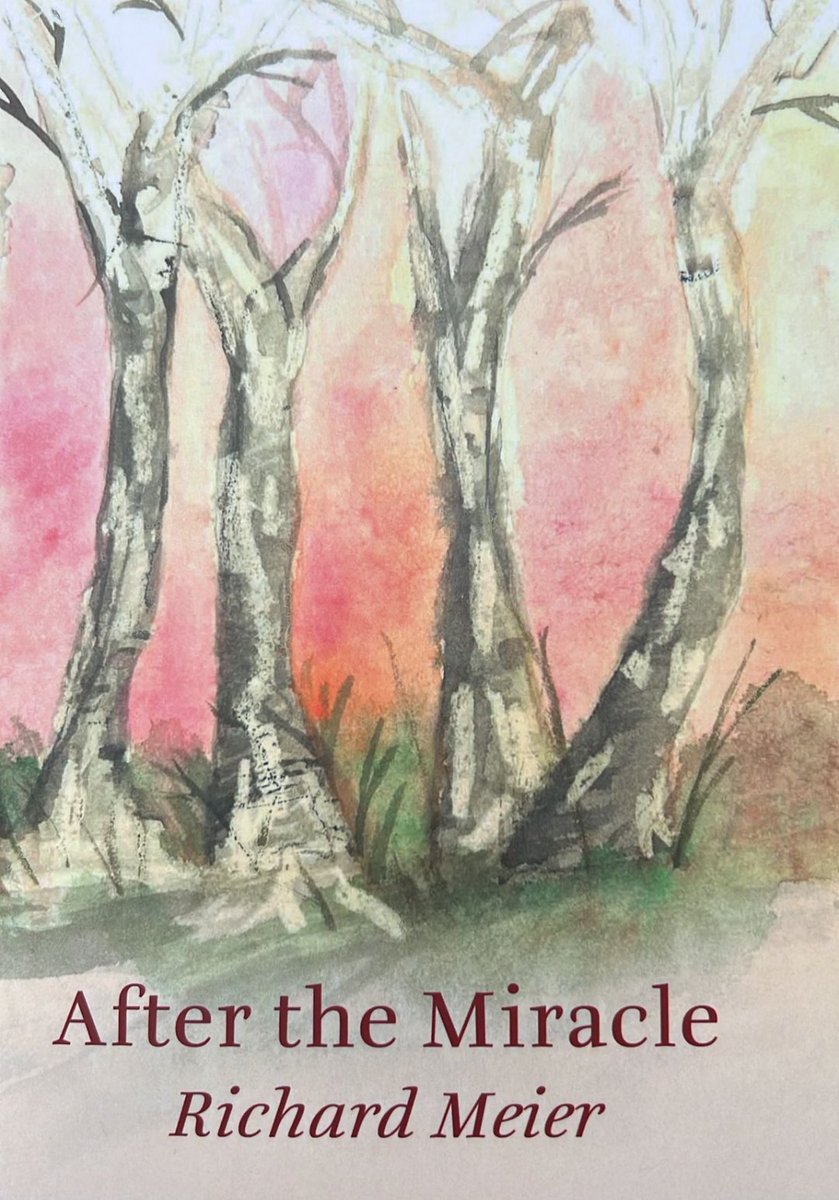 meier_richard's tweet photo. A wonderfully thoughtful review of After the Miracle - thank you John Field
https://t.co/MMnmqHMVAW https://t.co/U4ptnrAcEO