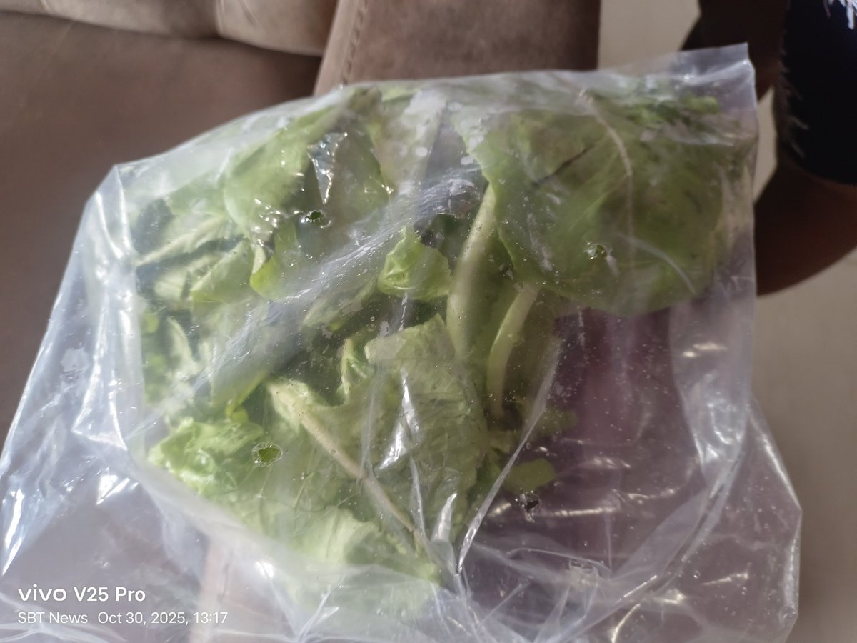 Don't buy anything from Zepto they deliver expired products even vegetables also take precautions <a href="/ZeptoNow/">Zepto</a> <a href="/AjitPawarSpeaks/">Ajit Pawar</a> <a href="/ajitanjum/">Ajit Anjum</a>