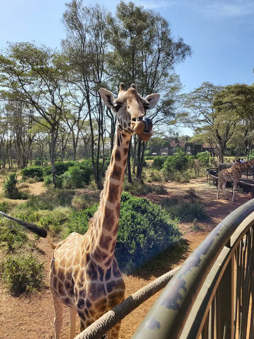 Don't listen to propaganda, it such a beautiful place