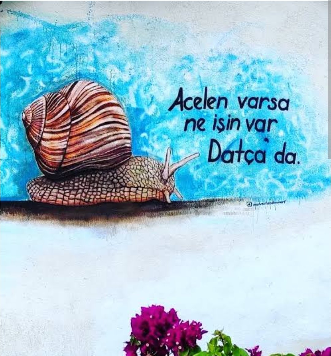 SLaYeR_dw's tweet photo. @Adem_Bahar_25 @bosunatiklama yoo yazılı 😃 https://t.co/10yHzlGqTD