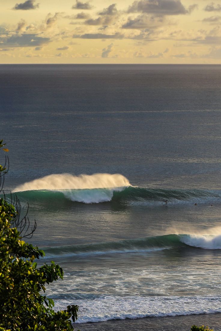 ocean (@hawsett4) on Twitter photo 