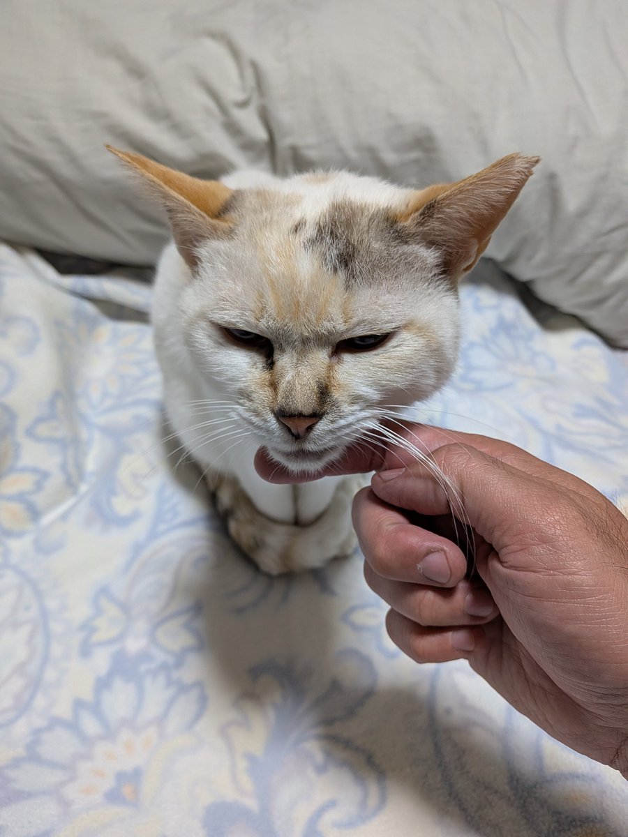 havefuntimewithyou! on X