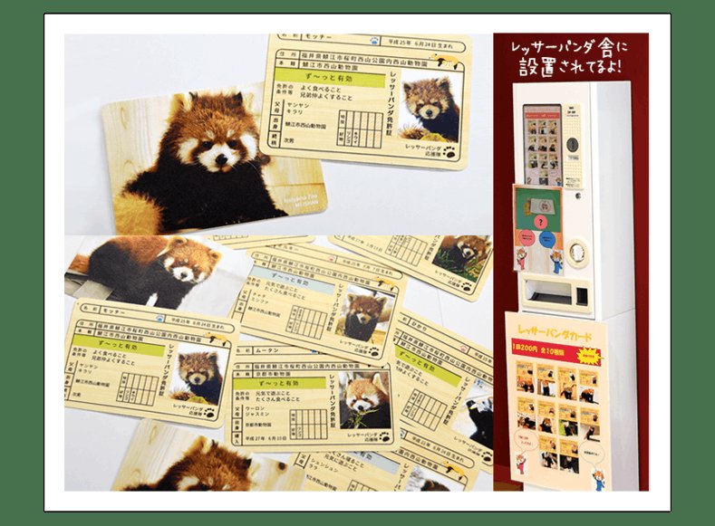 もみじーぬ on X