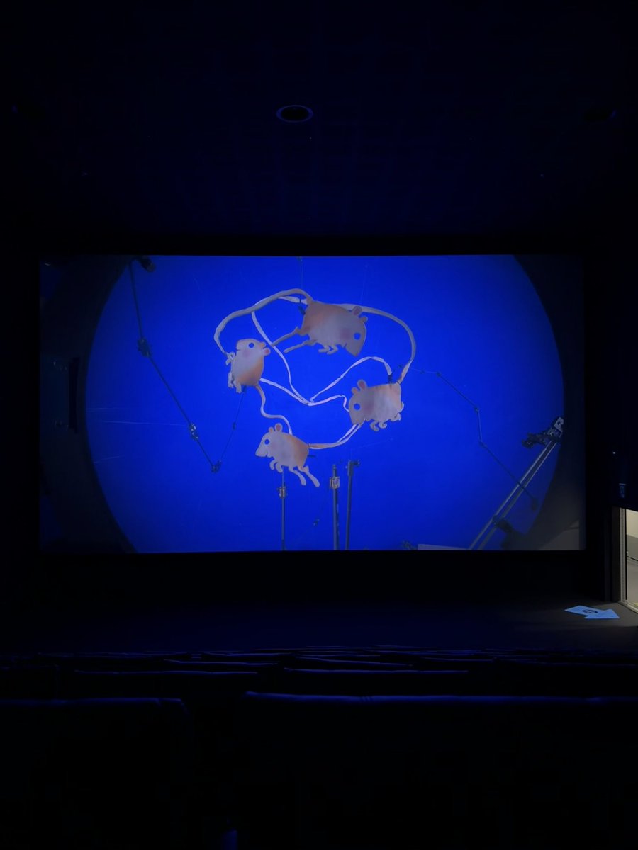 코렐라인 보구왓으요