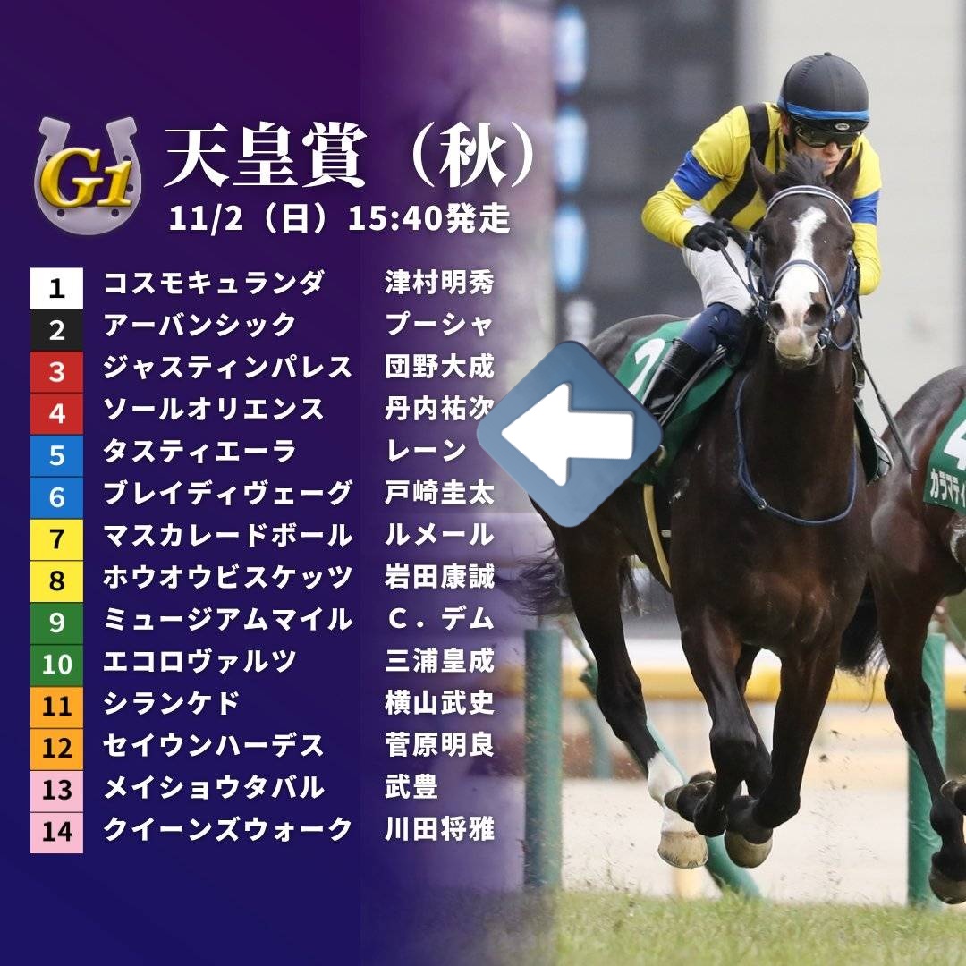 ナリタブライアン　たてがみ ナリタブライアン たてがみ ナリタブライアン たてがみ