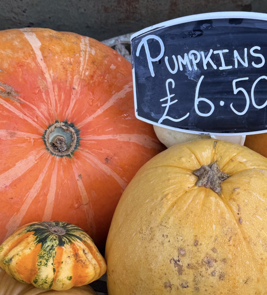 Tim (still totally unremarkable) tweet media