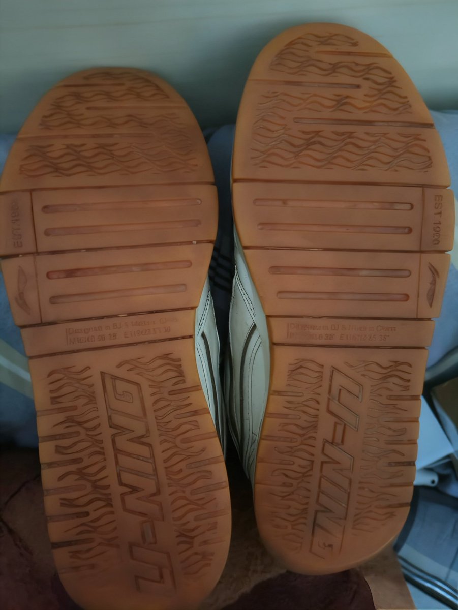 卡皮巴拉 tweet media