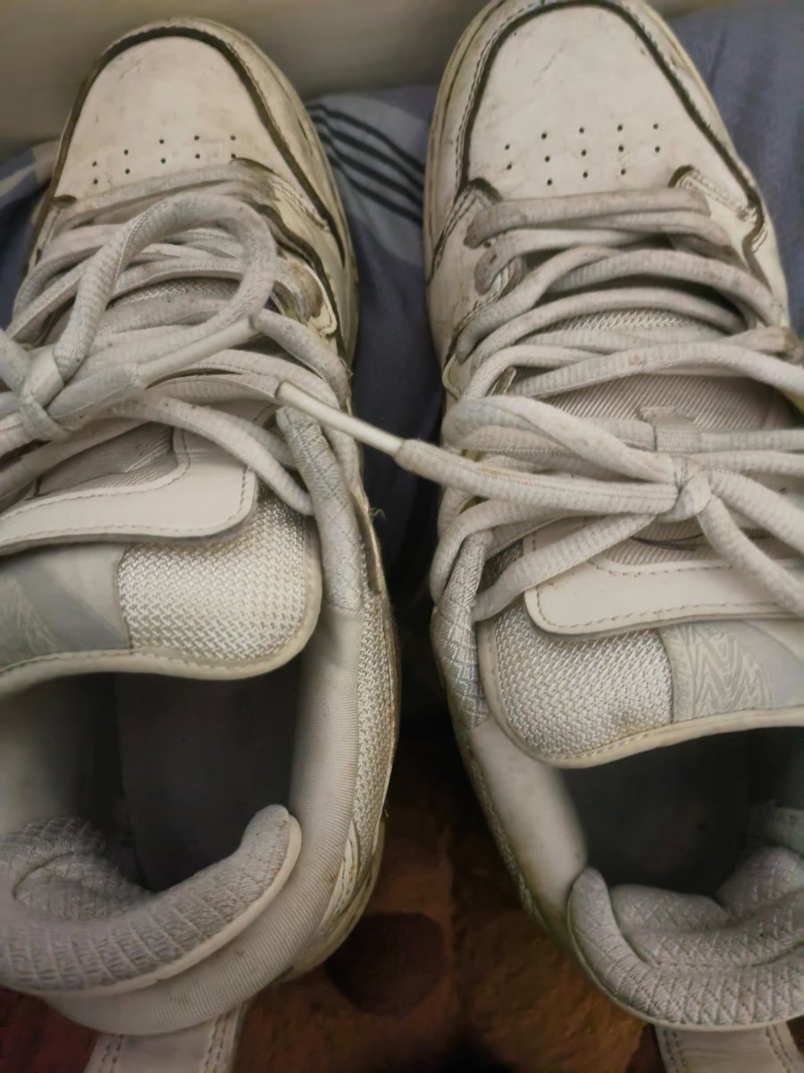 卡皮巴拉 tweet media