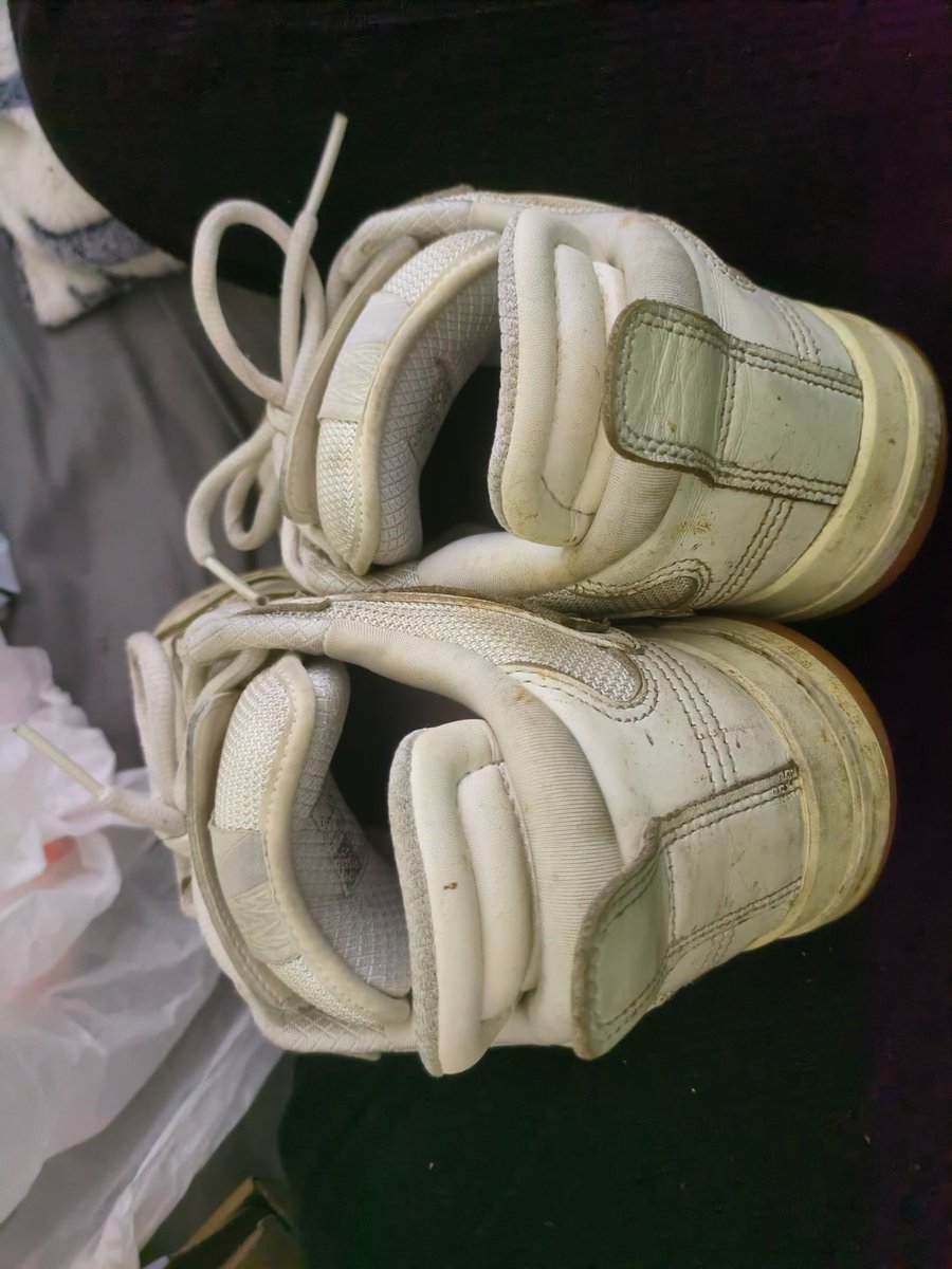 卡皮巴拉 tweet media