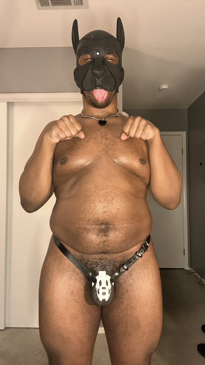 Pup Sebby 🔞 tweet media