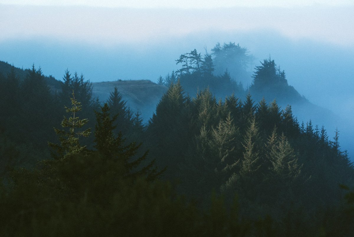 visualsofearth1's tweet image. Oregon Coast