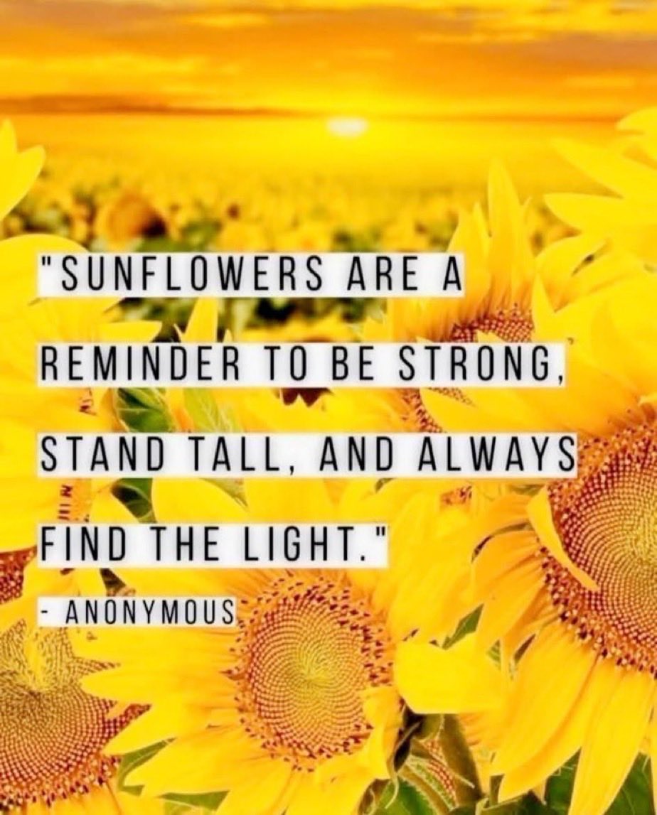 ElysiumFields10's tweet image. If you have struggled at any time, don’t put yourself in a place where you lose sight of hope. 

#StayingStrong 

#Overcoming 

#StandTall 

#SeekTheLight 

🌻☀️🌻☀️🌻