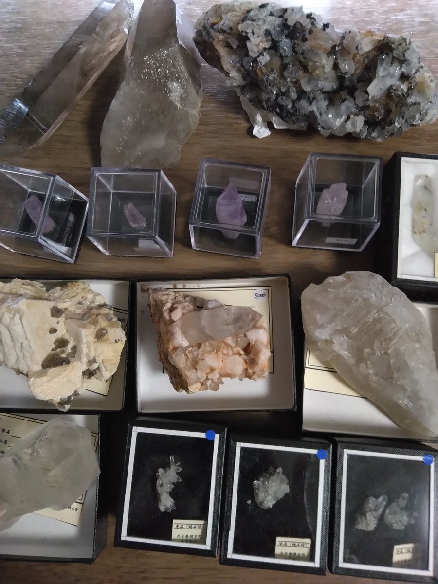 きのこ (@geo_fluorite) / Posts / X