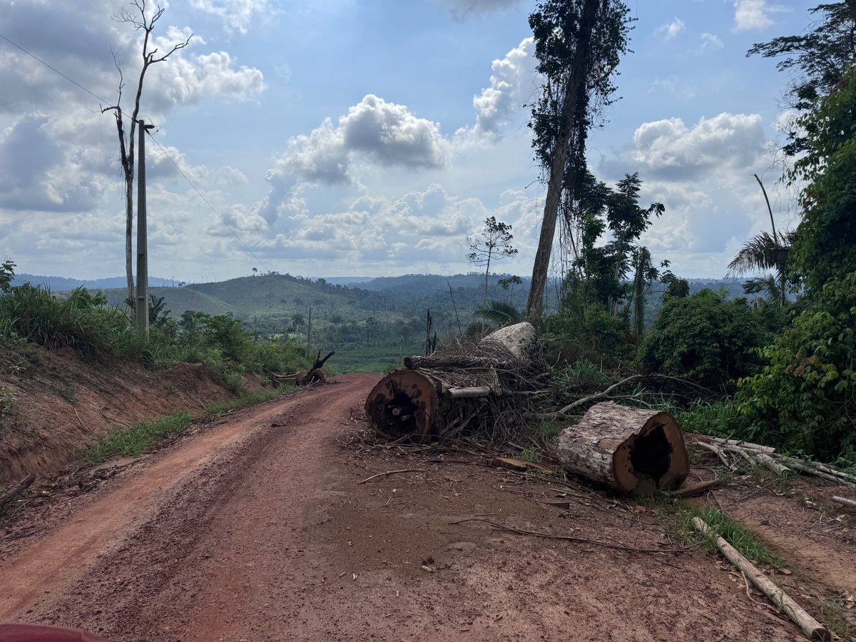 Behind Brazil’s deforestation crisis is a human rights crisis. 

Communities defending the forest face threats, criminal invasions, and silence from the state. 

A NEW REPORT by <a href="/ClimateRights/">Climate Rights International</a> exposes what’s at stake. 👇

 cri.org/brazil-defores…