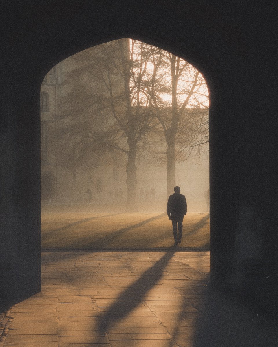 KIRINOMA tweet media