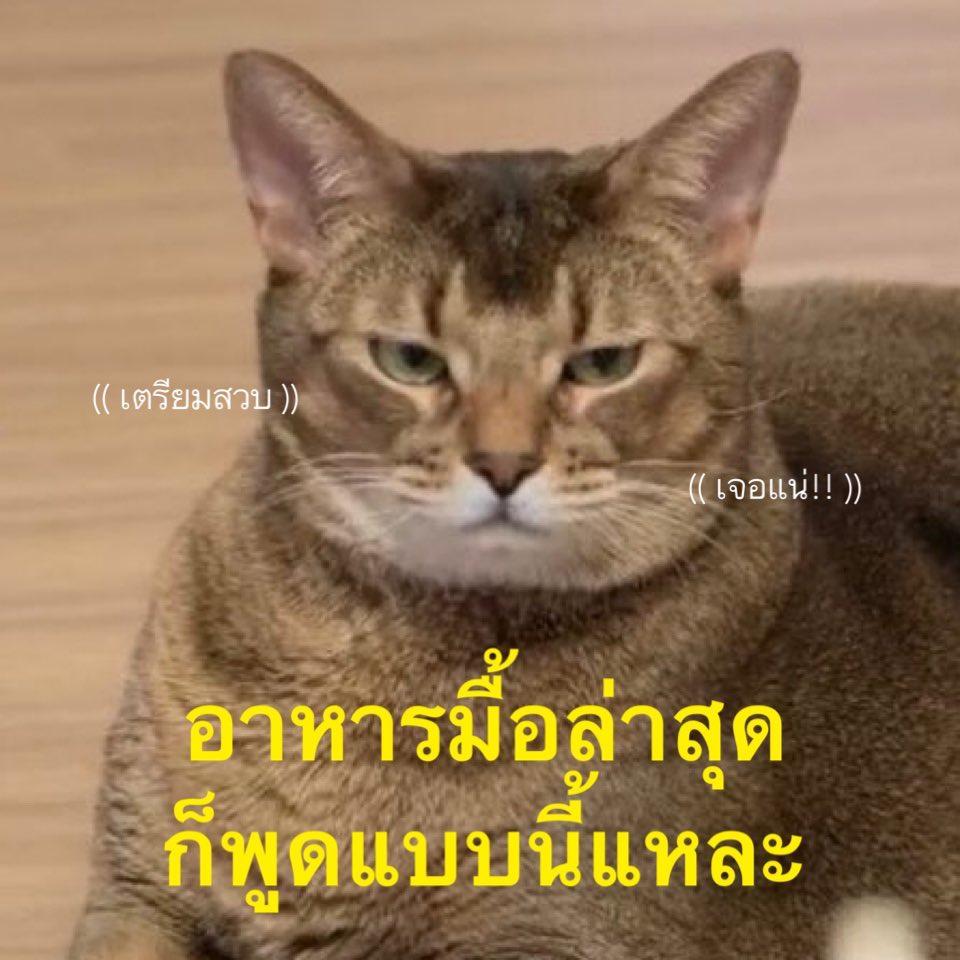 – 𝙄𝙣𝙙𝙞𝙜𝙤 tweet media