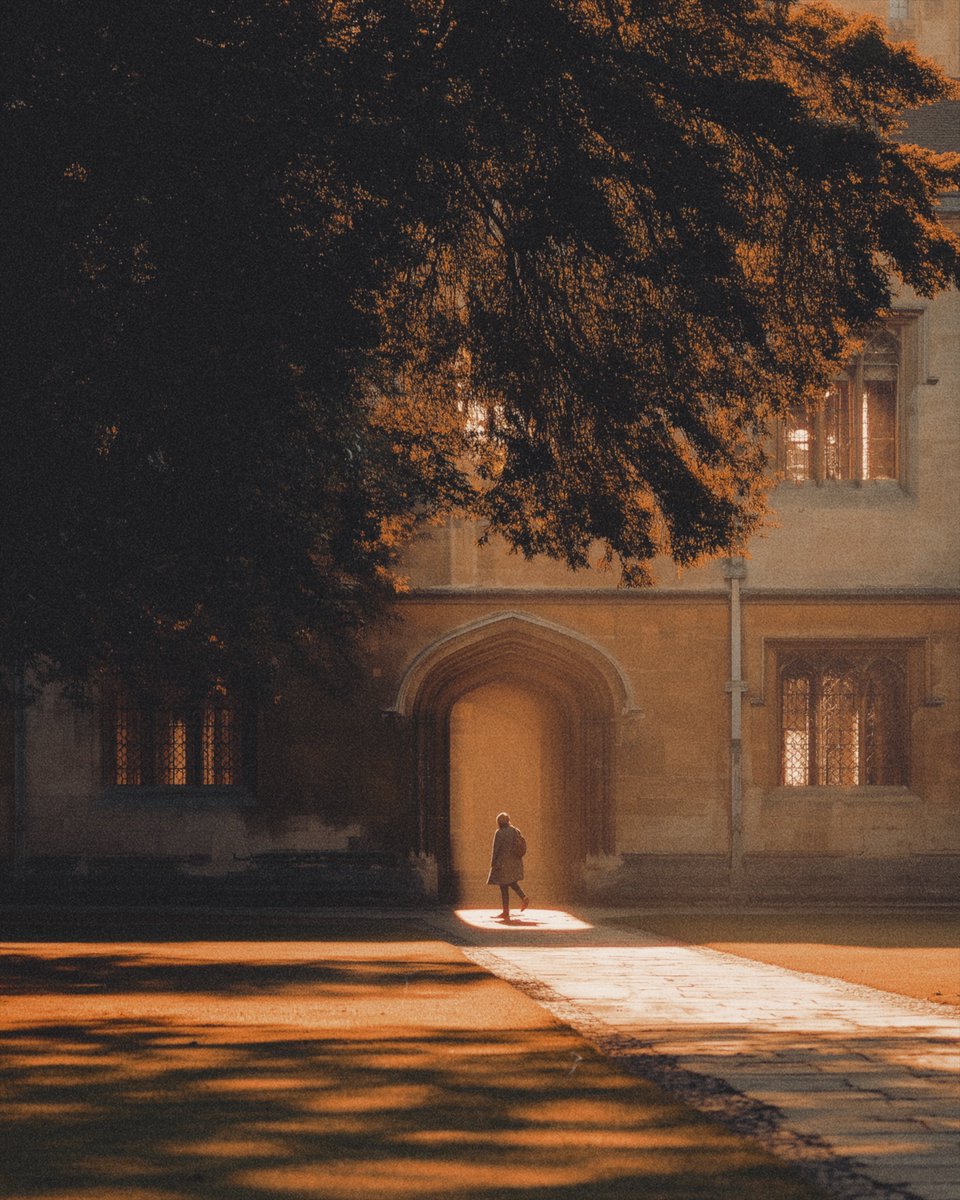 KIRINOMA tweet media