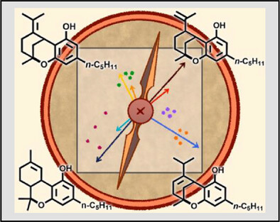 Stefano Protti tweet media