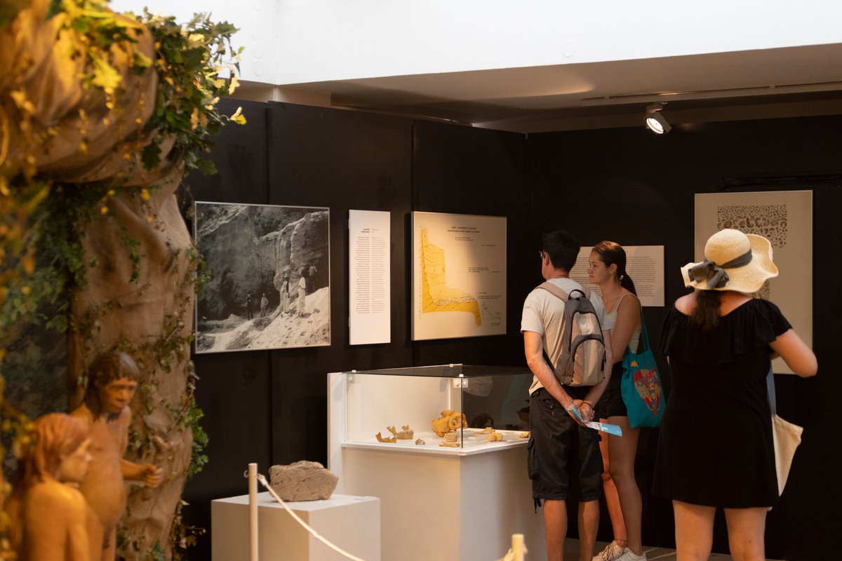 Zadar City Tourist Board tweet media