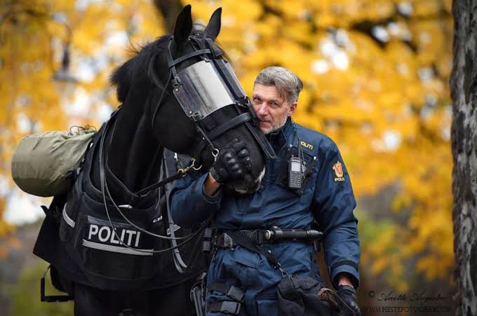 ぴーえろ (@Pierrot_flower) / Posts / X