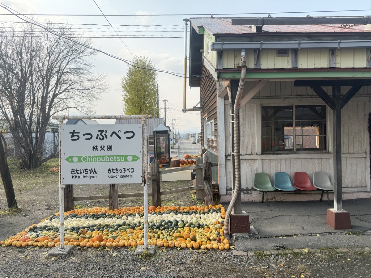 最後のハロウィン🎃